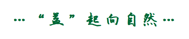 图片11.png